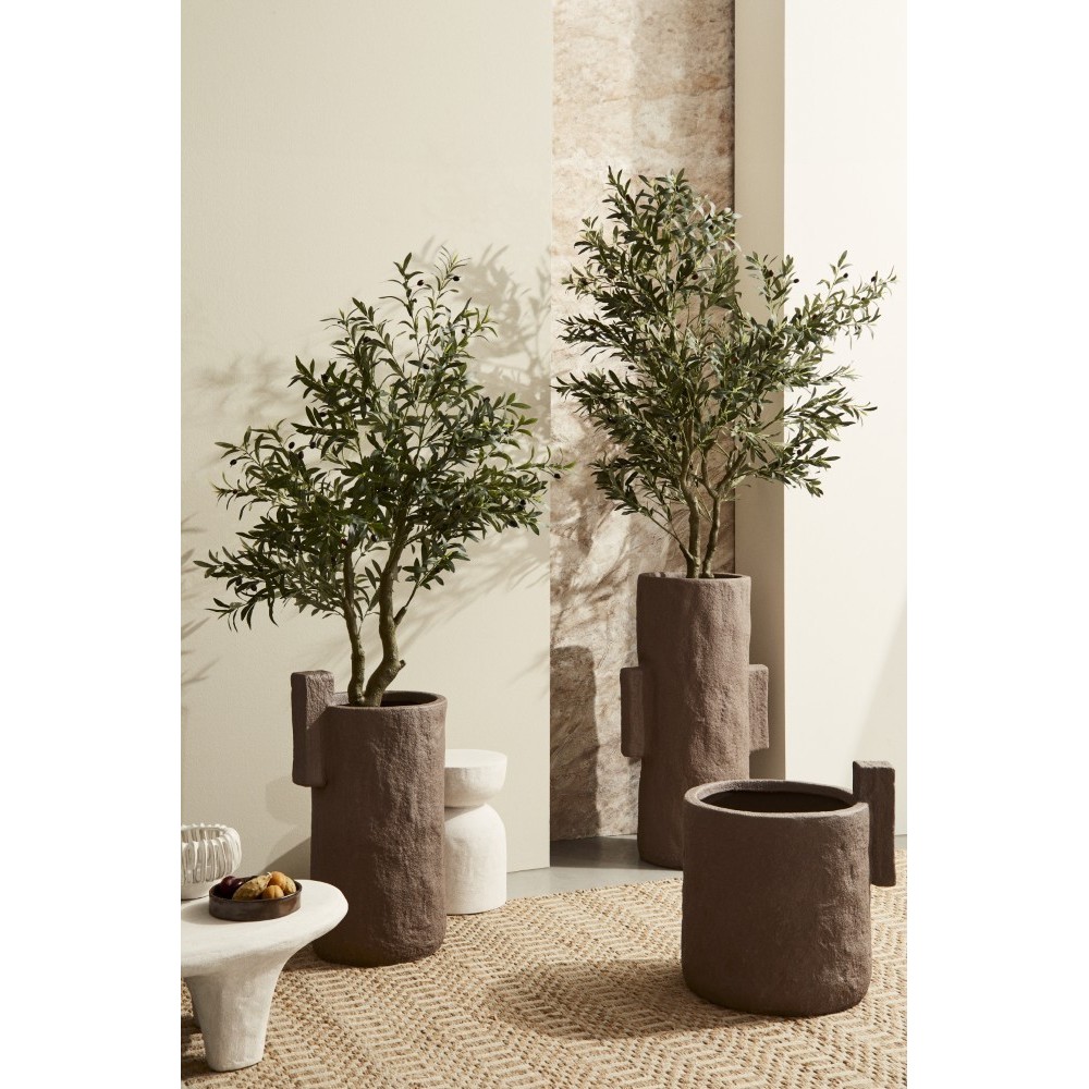 PIANTA ULIVO CON VASO H.90